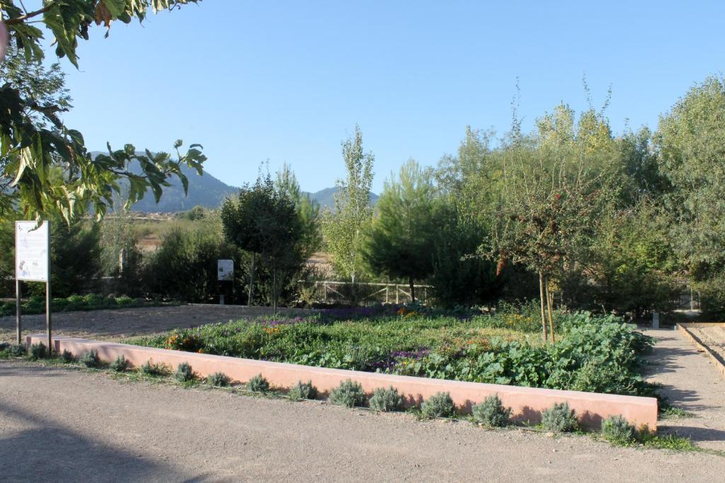Centro De Agroecologia Y Medio Ambiente De Murcia Bullas Zimmer foto