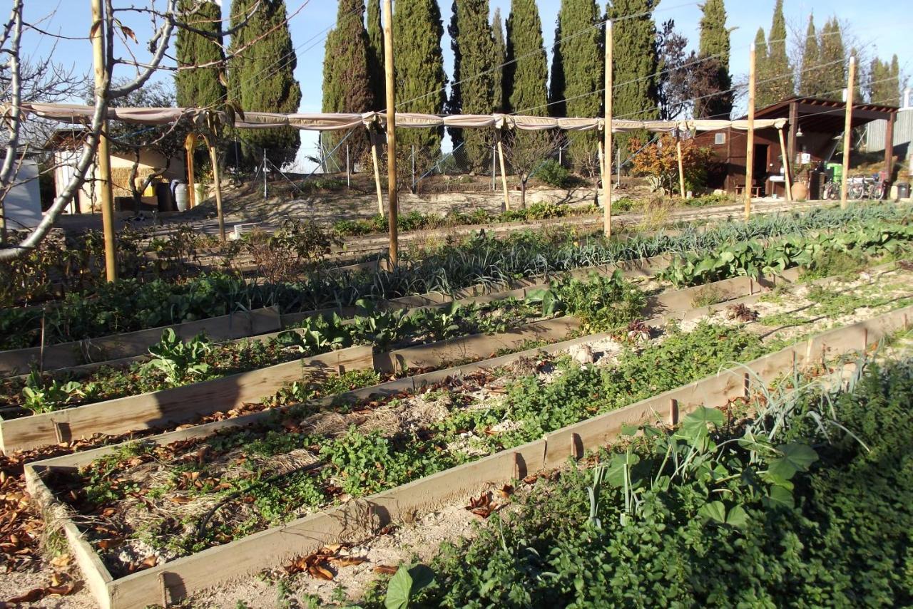 Centro De Agroecologia Y Medio Ambiente De Murcia Bullas Exterior foto